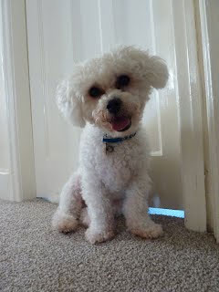 Baxter