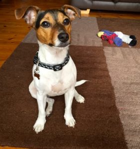 Ruby Nuneaton