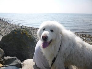 Bella by sea