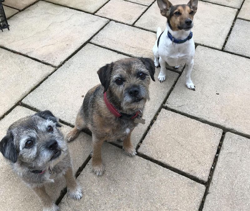 Cassie, Denny and Bailey